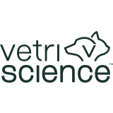 VS Logo Stacked Dark Green