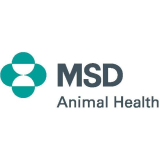 logo msd ah 2023
